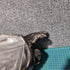 Suzuki VITARA LY Headlight LED Nearside