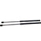 Suzuki Swift AZ Tailgate Struts * 2017-2024 *