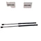 Suzuki Swift Tailgate Struts * 2011-2017 *